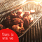Grill 3+2 Brûleurs vesion HD