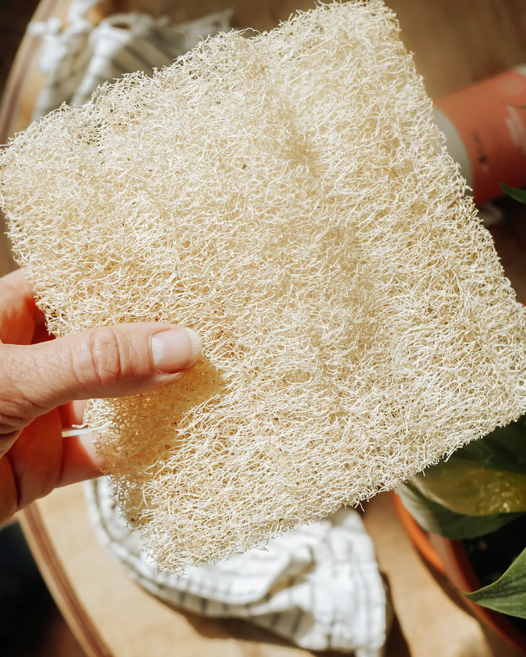 Éponge Luffa