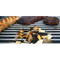Grill 2 Brûleurs noir+stainless