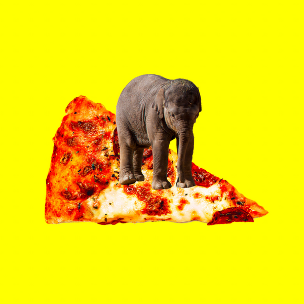 Coupe-pizza à bascule