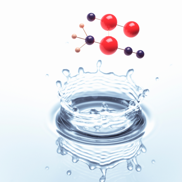 15 Août-Atelier fermeture piscine édition spéciale