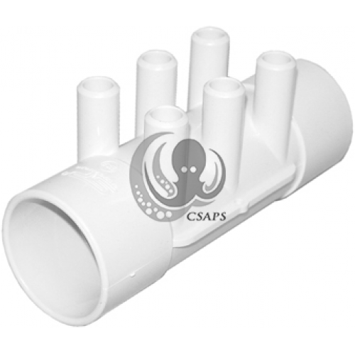 Manifold